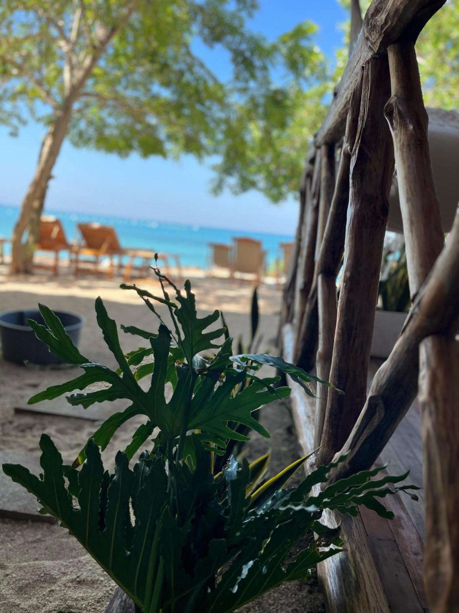 Thani Ecobeach Baru Playa Blanca Zewnętrze zdjęcie